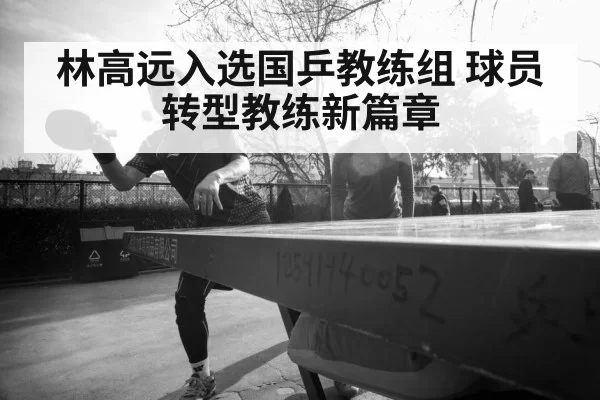 林高远入选国乒教练组 球员转型教练新篇章 | hth